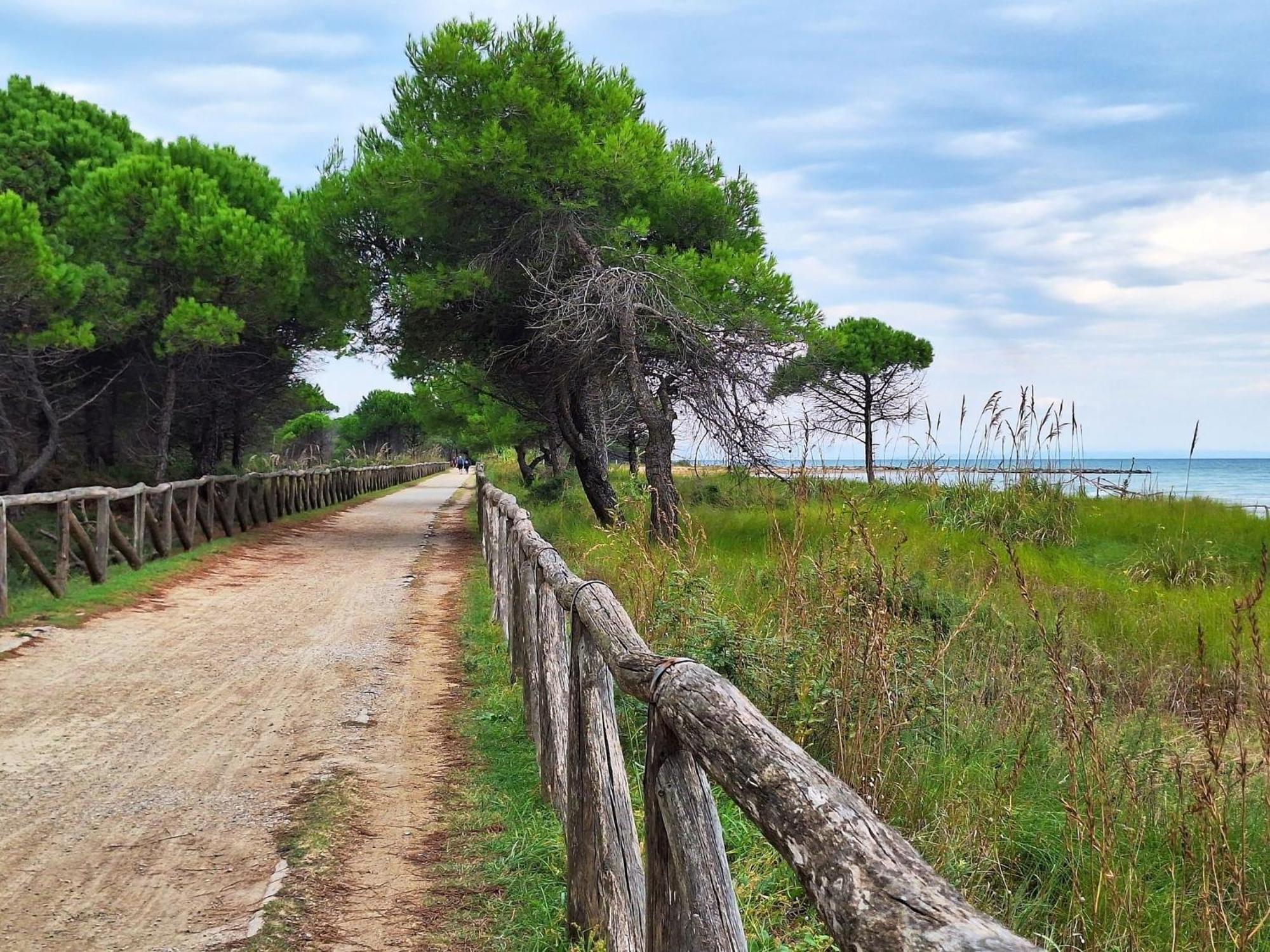 Apartment Adorable Seaside Flat For 4 Guests - Beahost Bibione